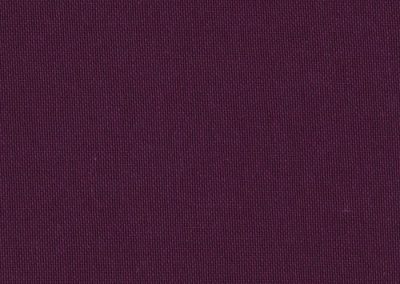 TOILE CANVAS TCA38072 AUBERGINE Purple